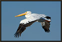 Pelican 2315 Thumbnail